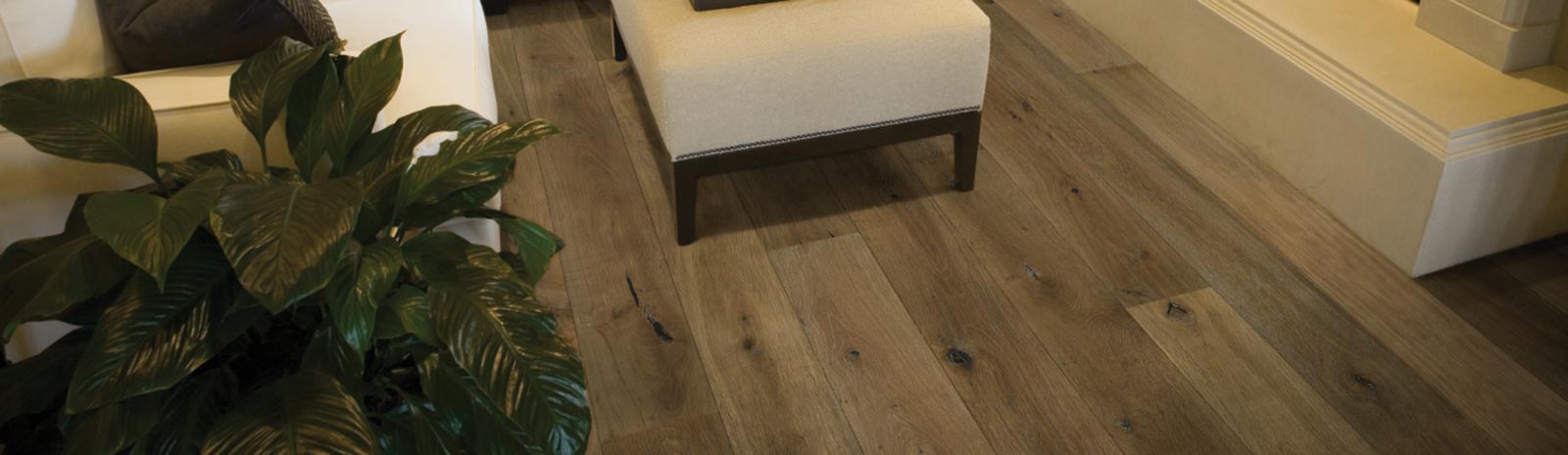 Oak Avalon