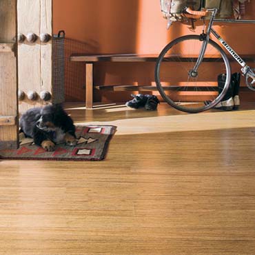 Teragren Bamboo Flooring | Victorville, CA